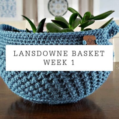 Lansdowne Basket Crochet Pattern Week 1