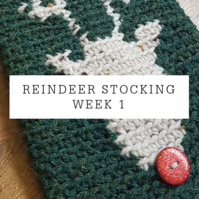 Reindeer Stocking | CAL Week 1